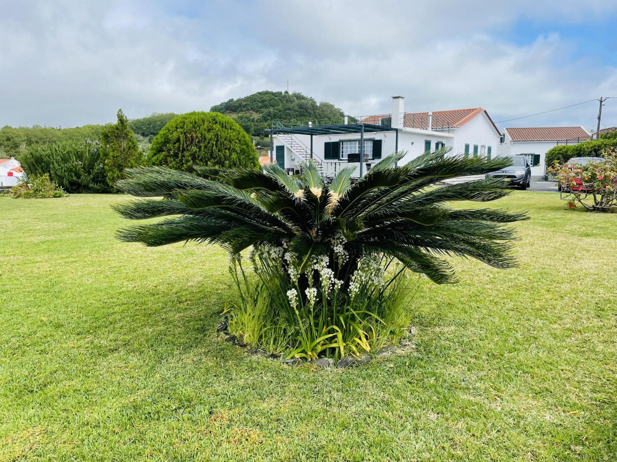 Holiday home Casa Da Faja Ponta Delgada (Sao Miguel)